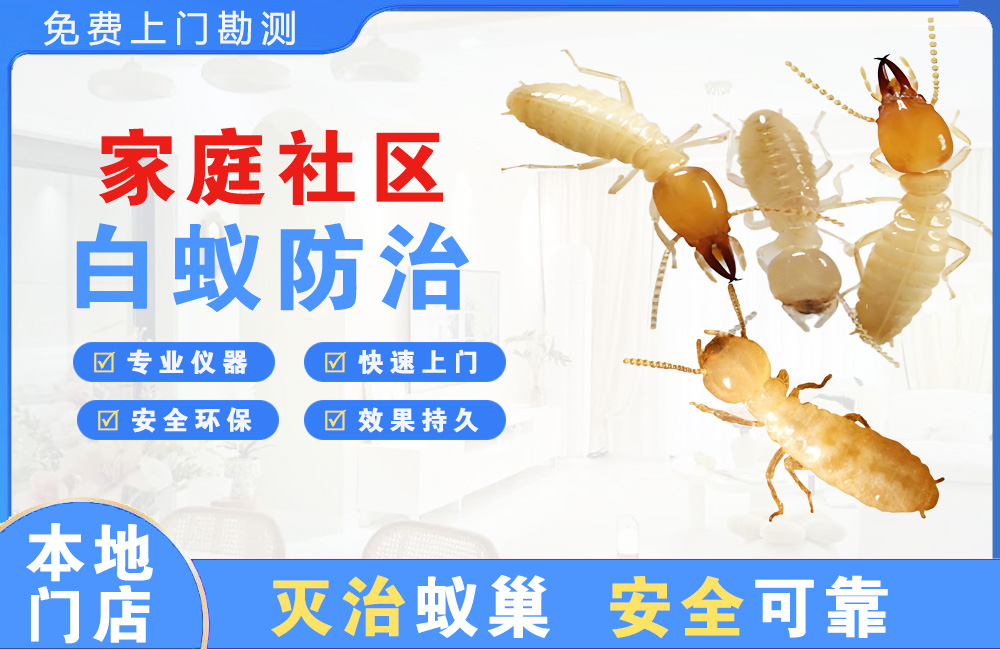 怀化家庭社区白蚁防治