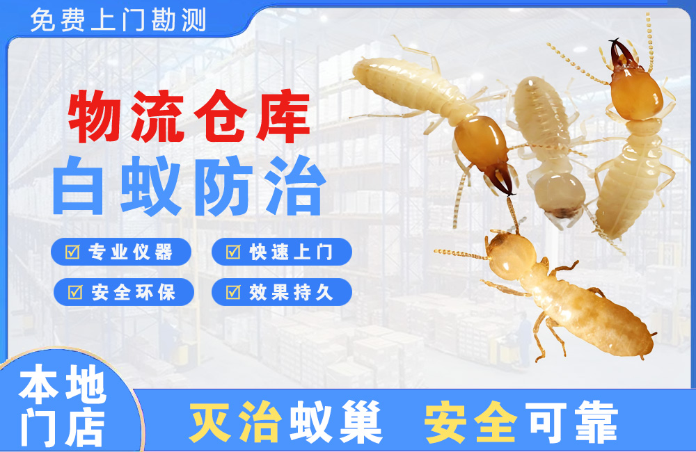 怀化物流仓库白蚁防治
