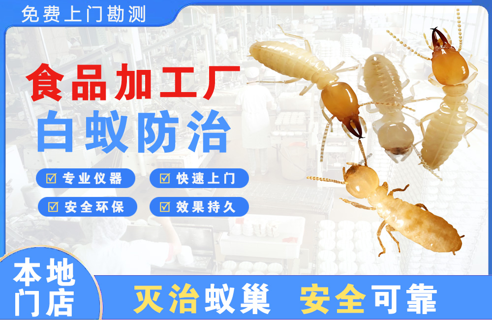 怀化食品加工厂白蚁防治