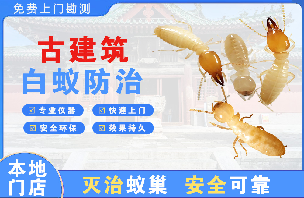 怀化古建筑白蚁防治