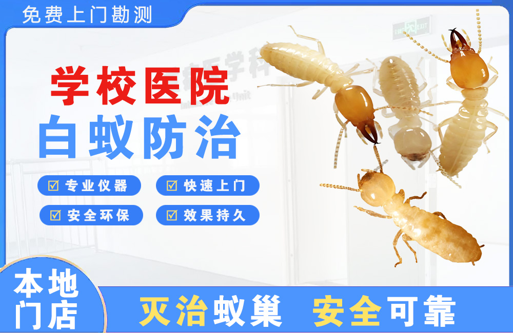 怀化学校医院白蚁防治