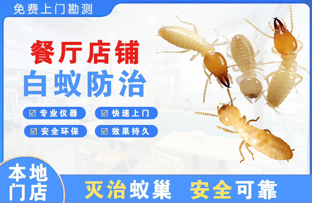怀化餐厅店铺白蚁防治